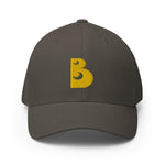 Classic BAM OG Flex Fit Hat - Boston Be a Man 